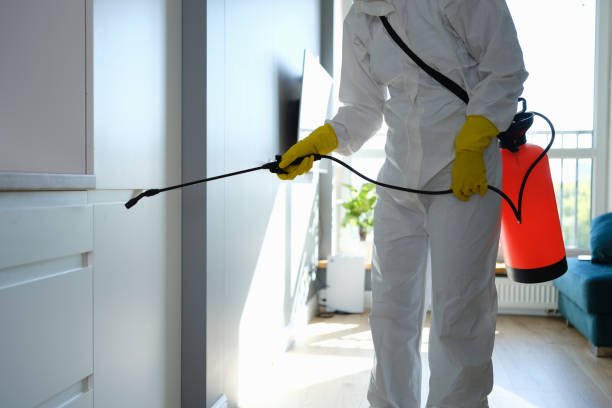 Home Mold Removal in Springfield, OR