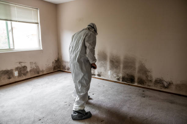 Best Mold Testing  in Springfield, OR